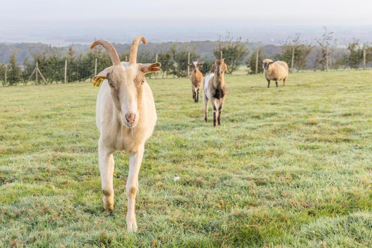 Maison D'Hote La Ferme Du Grand Air Fiennes Exteriér fotografie